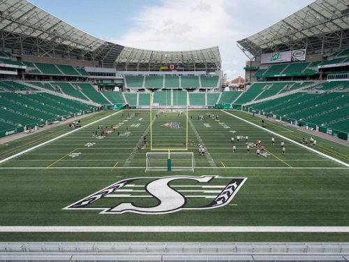 Mosaic stadium - concrete