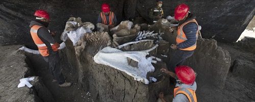 mammoth skeletons found at Mexico City airport construction site