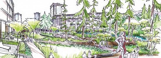 First Nations designs featured in Vancouver Heather Lands project