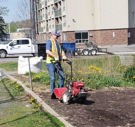 cooper community-gardens