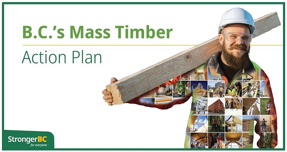 B.C. Timber Action Plan