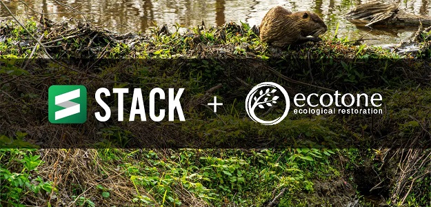 STACK Ecotone beaver blog