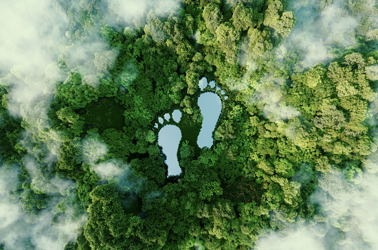 carbon foot print - carboncure blog