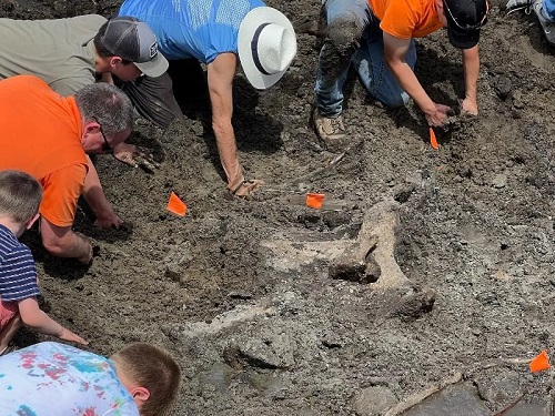 Construction Crews Mastodon Skeleton in Michigan
