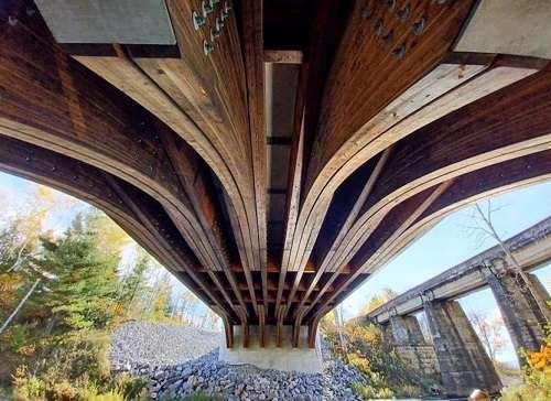 timber bridge