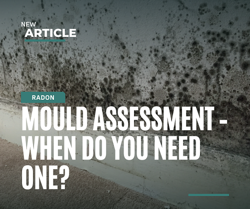 Mould Assessment - THEM