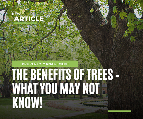 Tree benefits - THEM