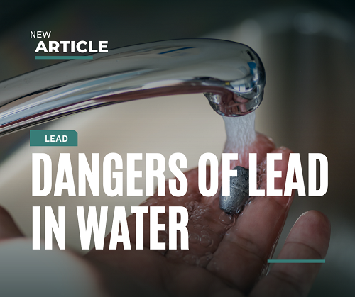 Dangers of Lead - THEM