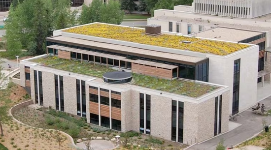 Green roof