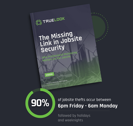 Missing Link - Truelook e-book