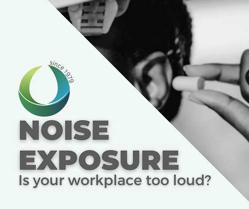 Noise Exposure - THEM