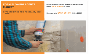 Foam Blowing Agents Markets Size