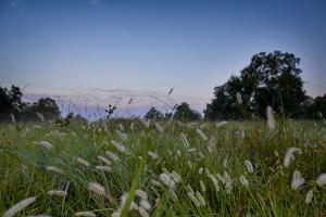 Image of land for the future Bergamo community in North Katy, Texas.